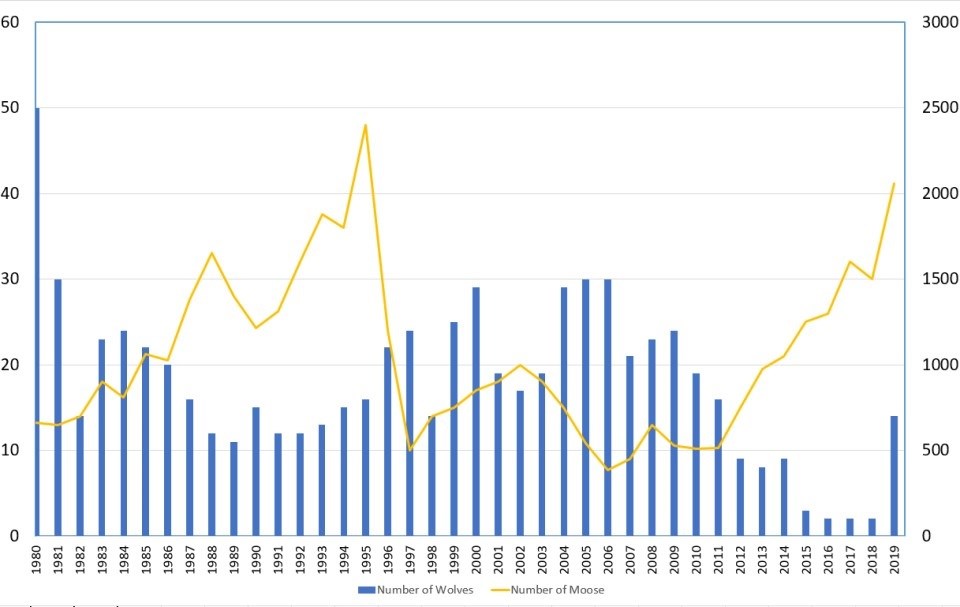 Graph of Wolf and Moose Populations of Isle Royale 1980 to Today