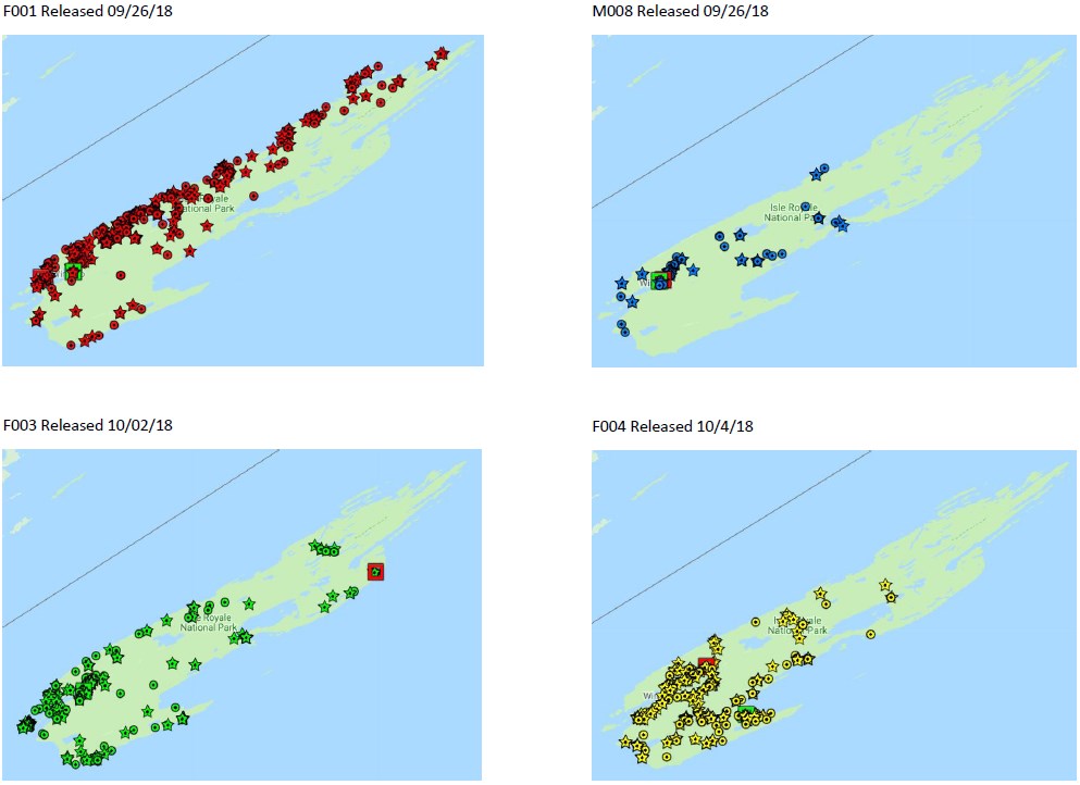 Wolf Tracking Update Isle Royale National Park (U.S. National Park