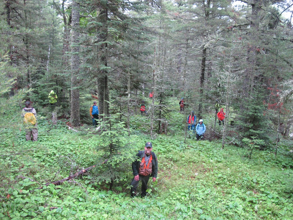 The general appearance of the precontact mining cluster landscape today.  Each person is positioned at the center of a precontact mining pit.