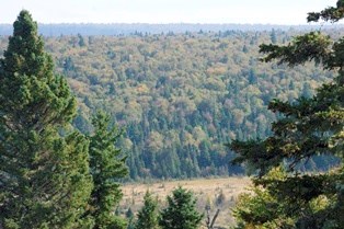 View of the Grace Creek Overlook.