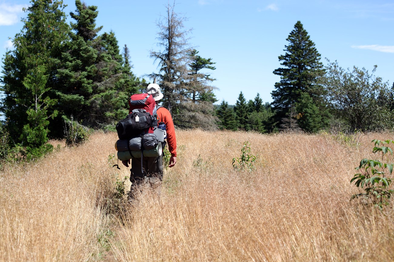 Rear view of visitor with backpack on and hiking through grassy area.