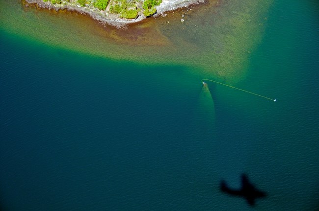 a plane casts its shadow onto the wreck of the SS America below