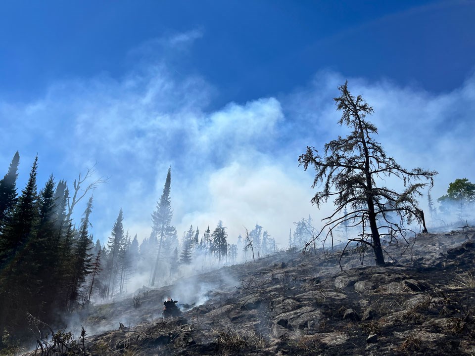 A burning hillside with smoke rising from charred trees and shrubs.