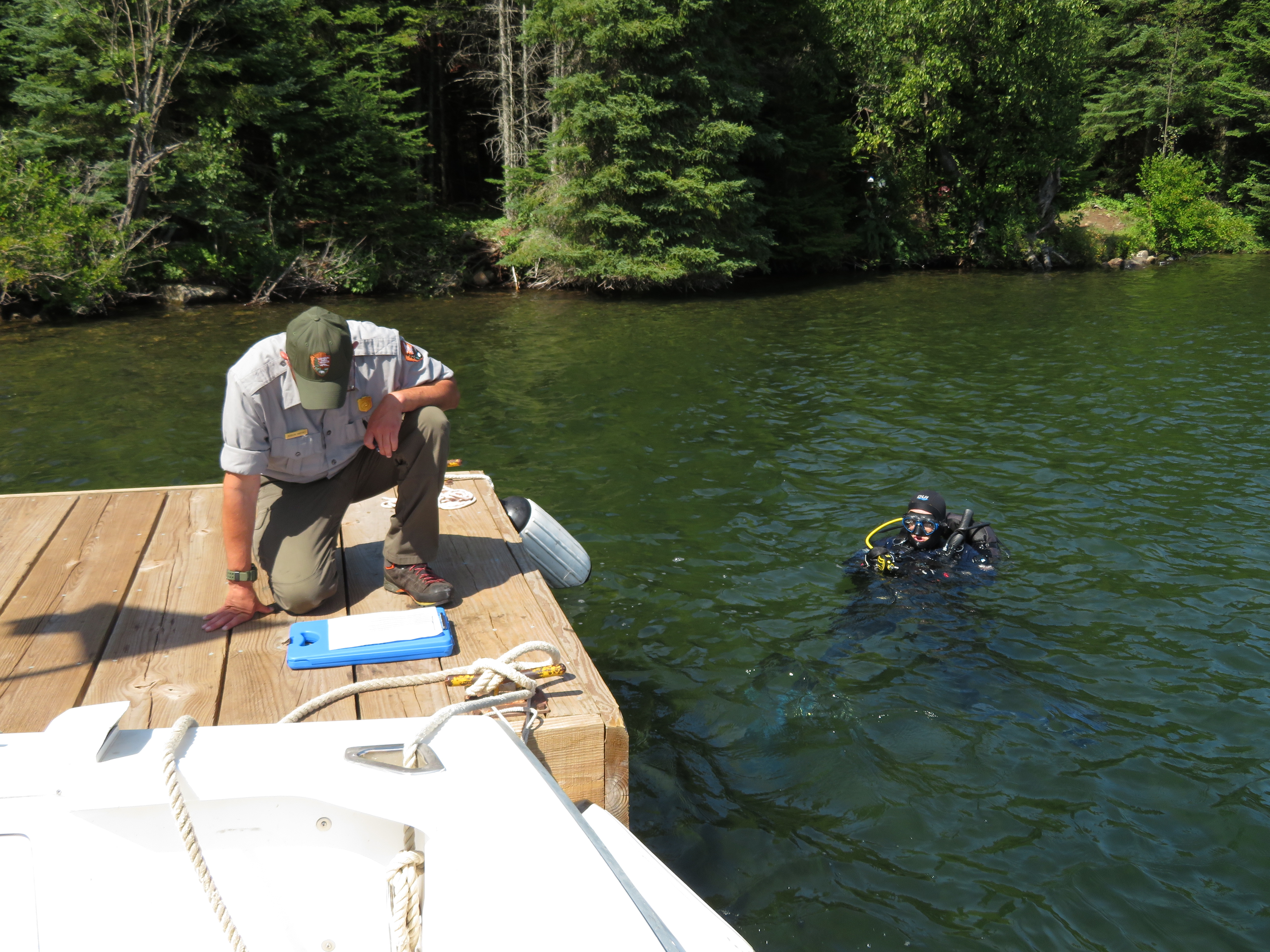 Invasive Species In Michigan List