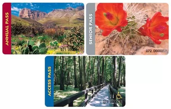 Three different types of Federal Recreation Passes.