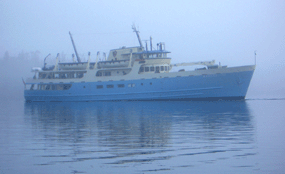 M.V. Ranger III in fog