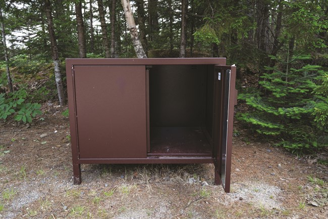 A large, brown, metal cabinet in the woods.