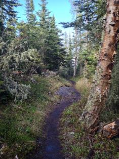 Rock Harbor - Isle Royale National Park (U.S. National Park Service)