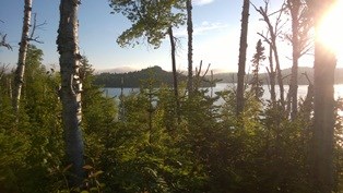 View of Washington Harbor.