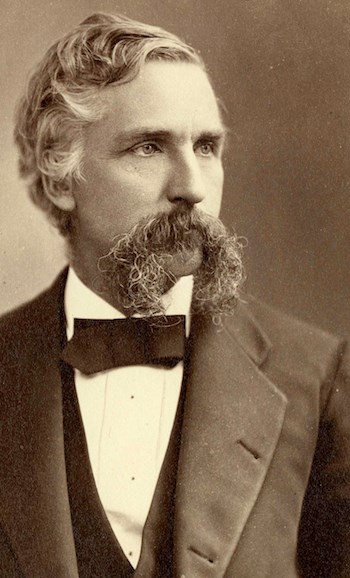a man with a long blonde beard