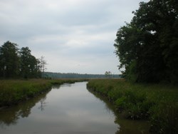 View of the water and trees while crossing the last bridge on the tour.