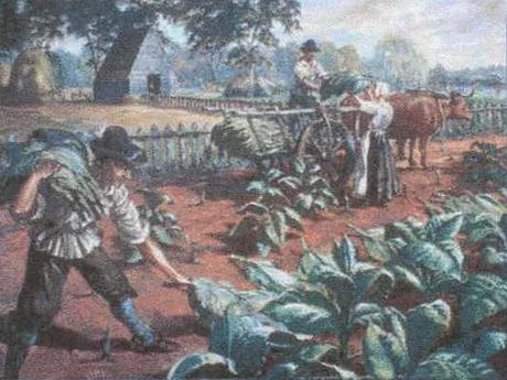 jamestown tobacco history Tobacco and the Atlantic World - panel four of the Chesapeake Bay Gateways Network exhibit jamestown tobacco history Tobacco and the Atlantic World - panel four of the Chesapeake Bay Gateways Network exhibit