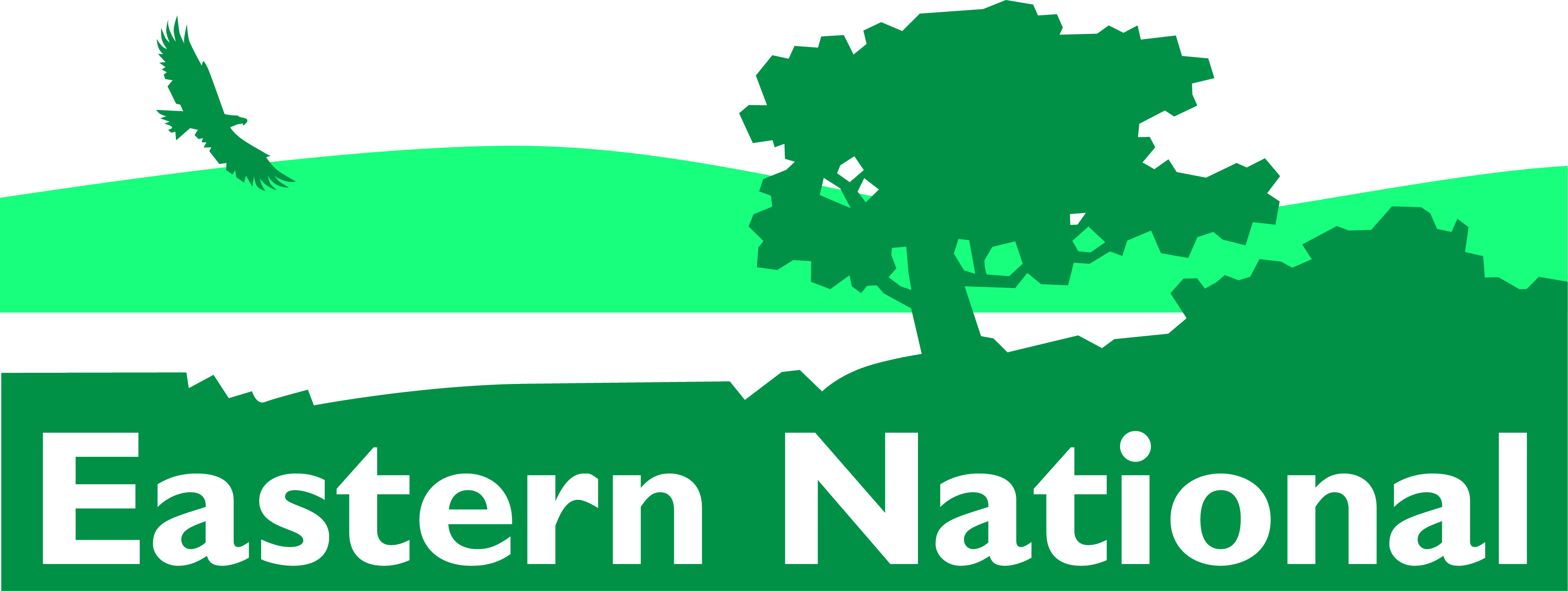 Eastern National logo scene in green
