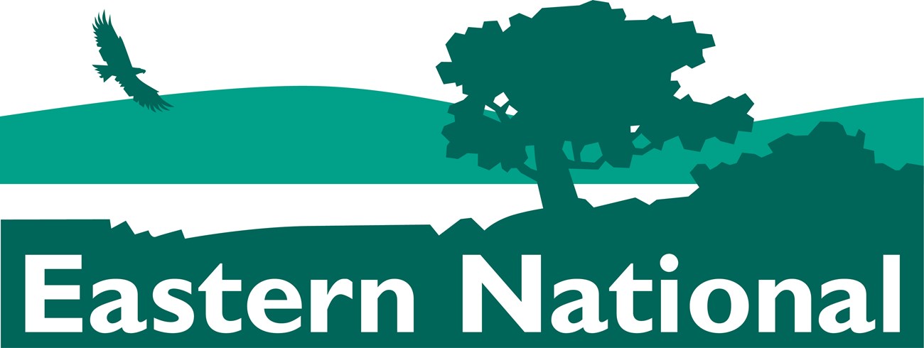 Eastern National logo scene in green
