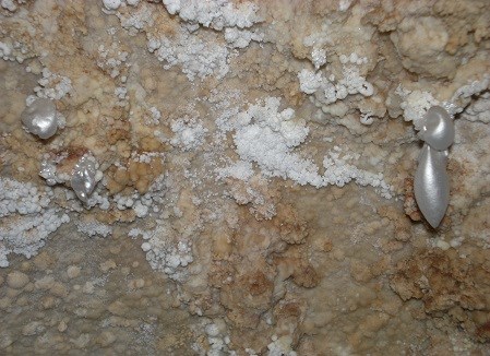 Small, delicate, silver-colored, inflated balloons attached to the cave wall.