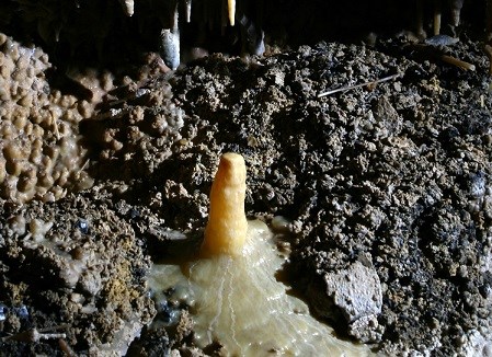 A calcite deposit develops up from the floor of the cave.