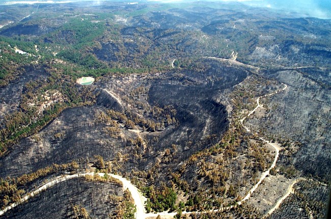Aerial view of Jewel Cave burn area from the Jasper Fire