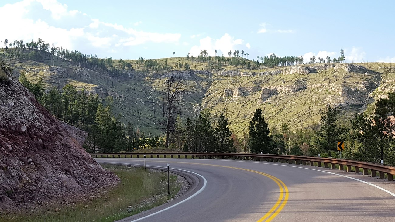 Highway 16 winds into Hell Canyon, surrounded by a ponderosa pine forest and rocky hillsides in the distance.