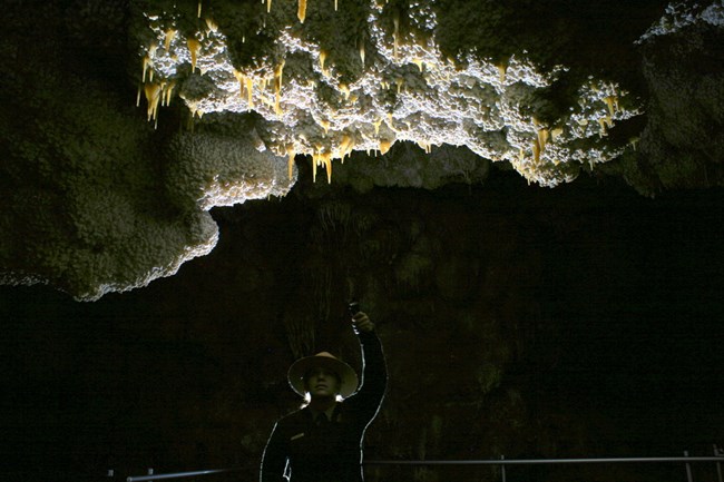 A ranger shines a flashlight upwards at stalactites inside of jewel cave