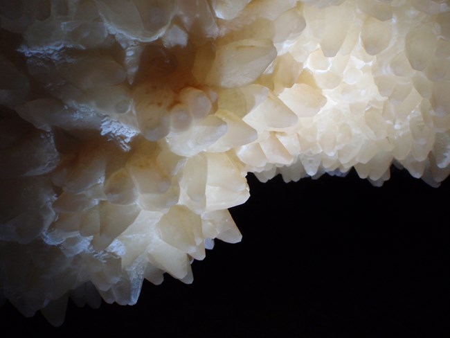 White-colored calcite crystals shaped like blunt minerals, hang from the side of a cave wall with a black background.