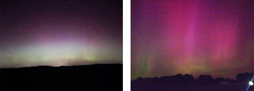 auroral display Greens and pinks are seen in the sky, above a horizon formed by trees.