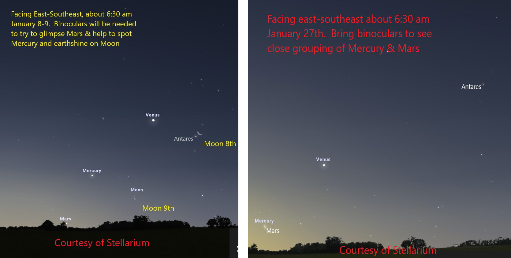 Venus shines brightly before dawn with Mercury offering a medium and Mars a tough challenge with binoculars. Venus shines brightly before dawn in January, with Mercury offering a medium and Mars a tough challenge with binoculars.