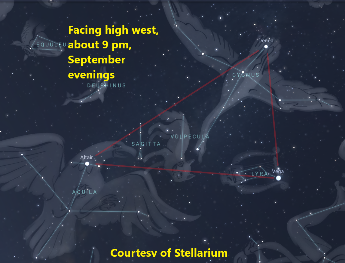Computer generated image of the night sky, showing locations of stars and constellation art figures.  Red lines indicate the three stars of the Summer Triangle.