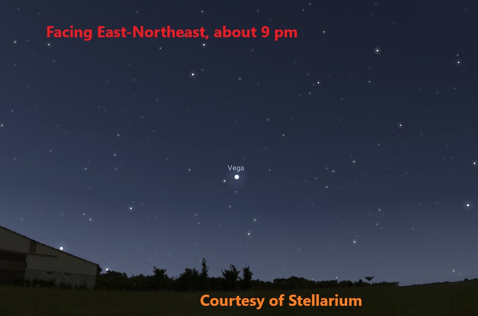 White dots represent stars in the sky on a dark background.  Trees form the horizon.
