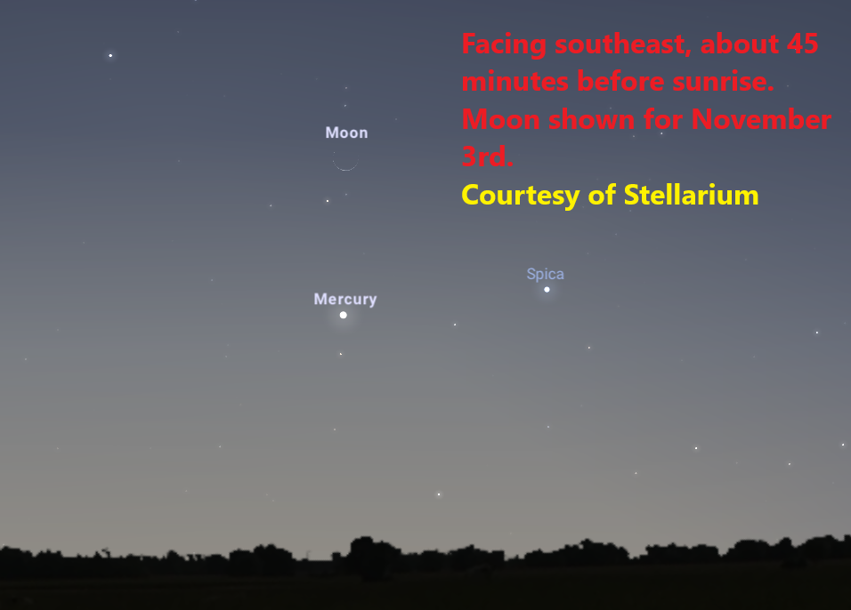 Image of twilight sky, treeline, very thin crescent moon, and starlike Mercury