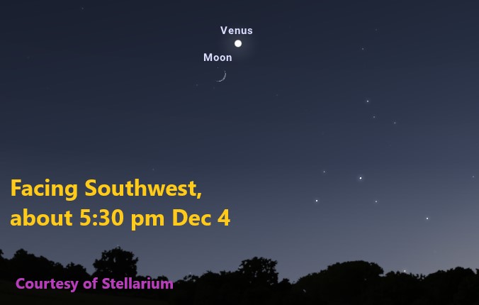 Moon Venus Dec 4 Dots representing stars and planets, the crescent Moon, and trees form the horizon on a map of the night sky.