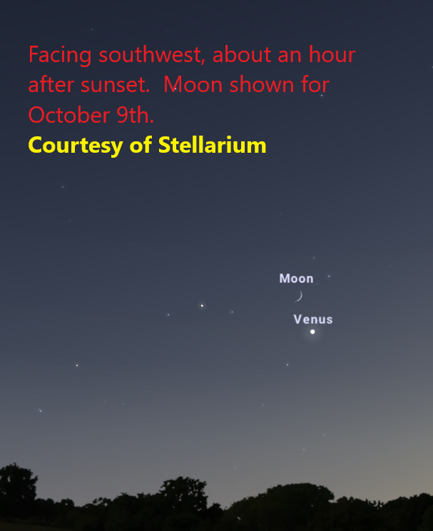 Image of dark blue twilight sky, treeline, crescent moon, and starlike planet Venus