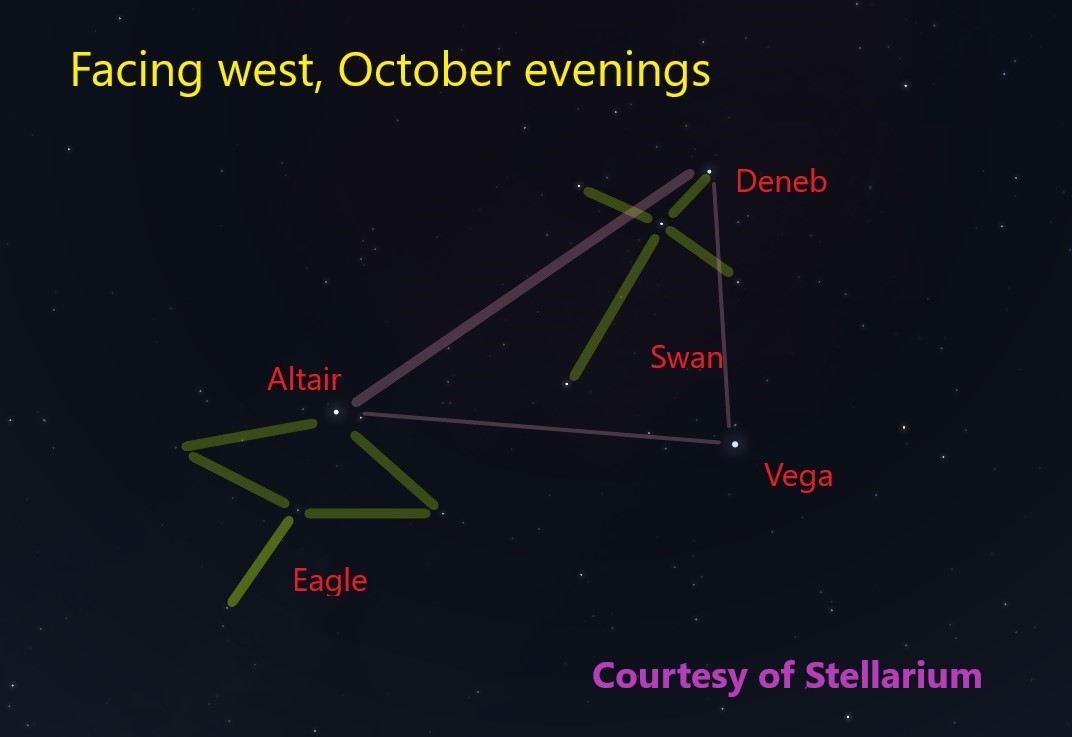 Dots, representing stars, on a black background.   Green lines mark the shapes of an eagle and a swan.