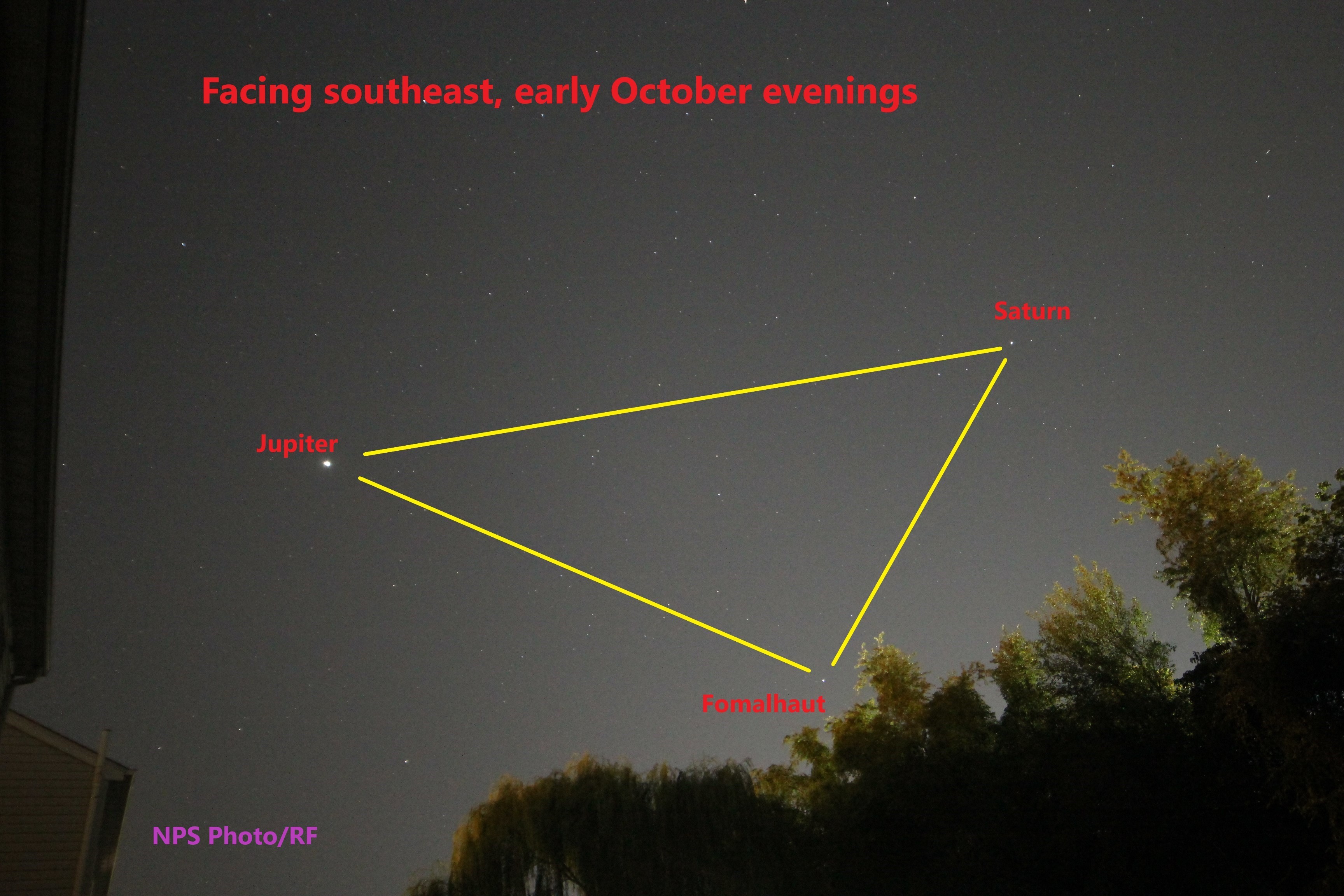 two planets and a star form a triangle in the night sky Trees, a dark sky, with two planets and a star appearing as dots, marking a large triangle.