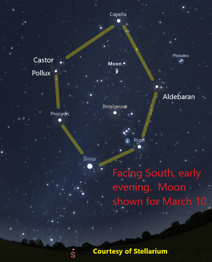 A dark sky filled with bright stars, shown as points of light, and a tree lined horizon. The brightest stars form a six-sided pattern.