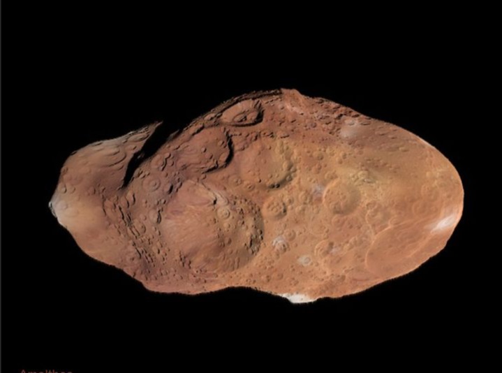 A smooth brown lumpy rock on a dark background