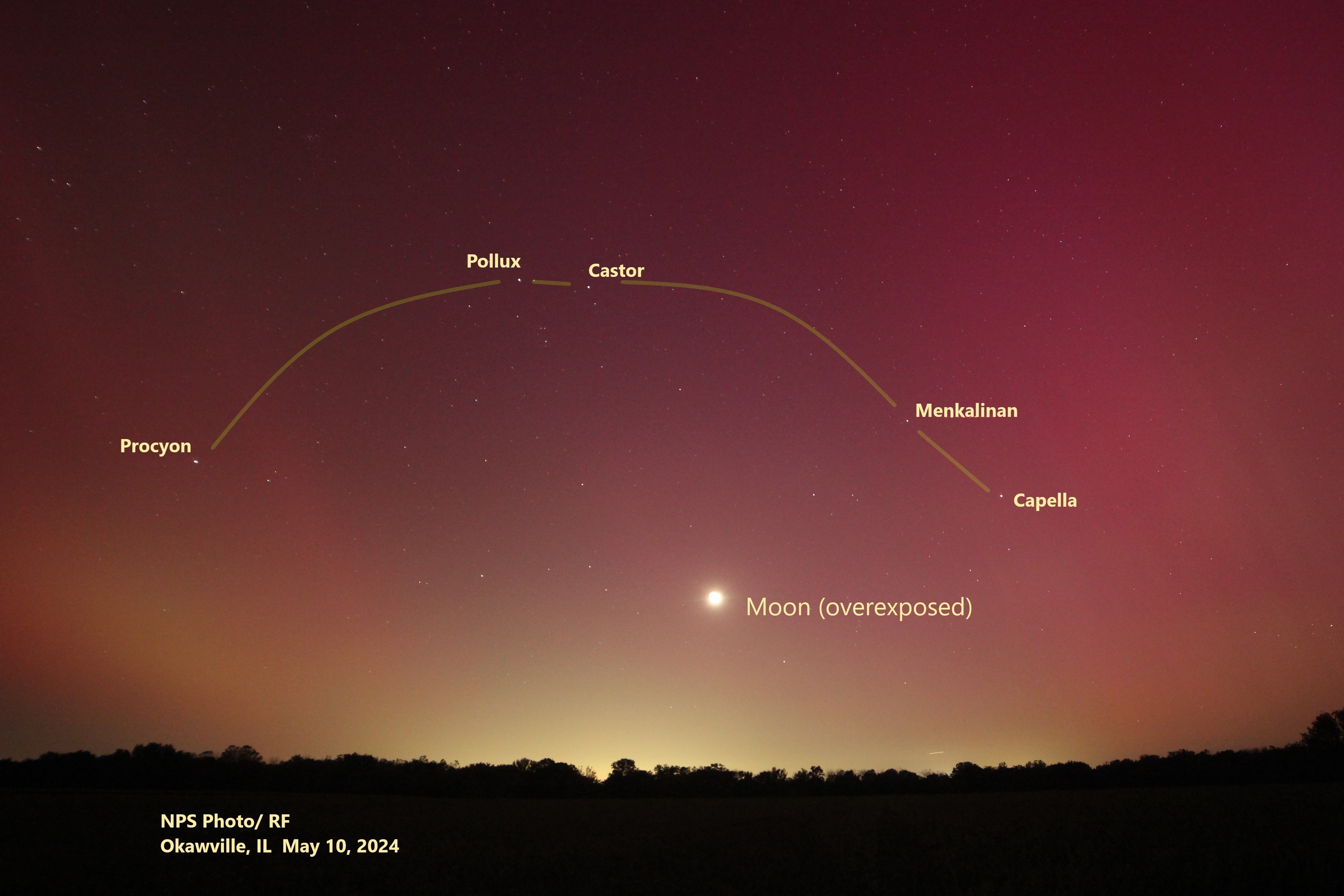 The pink glow of the aurora, above the tree line of the horizon.