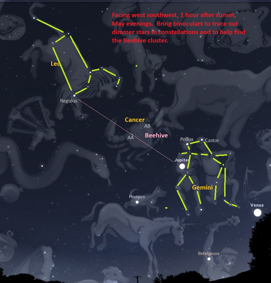 White dots are stars on the dark background of a map of the night sky.  Artistic pictures identify the constellations of the night sky.