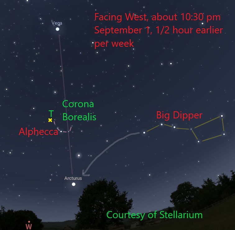 Corona Borealis White dots represent stars on the dark background of the night sky. Trees form the horizon.