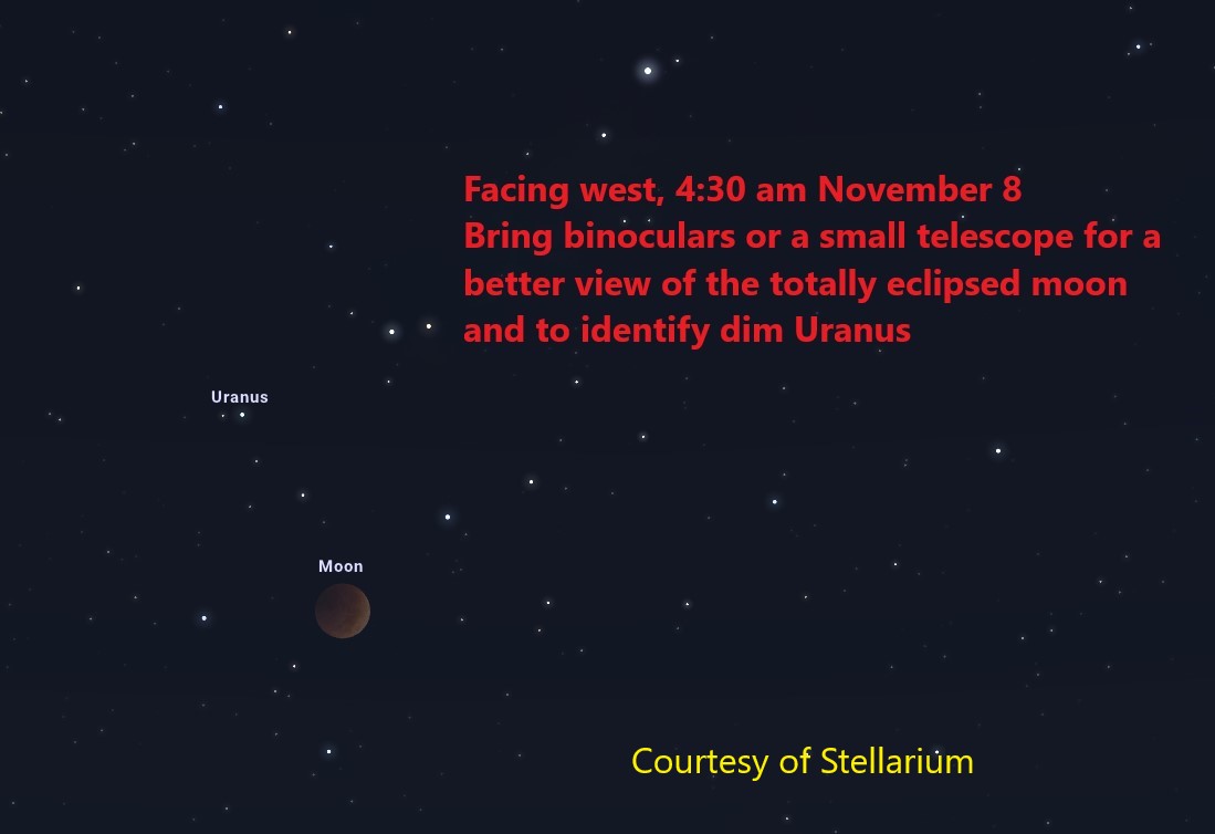 nov 8 eclipse Dark blue background with white dots showing stars. A dark red circle shows the eclipsed moon.