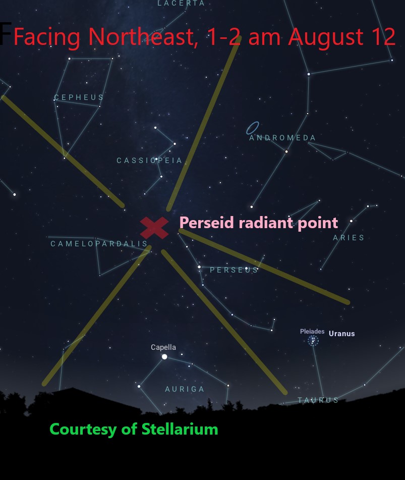 Stars show as black dots on the sky.  The paths of meteors are shown as yellow lines on the black background, appearing to come from a spot marked with a red ‘X.”