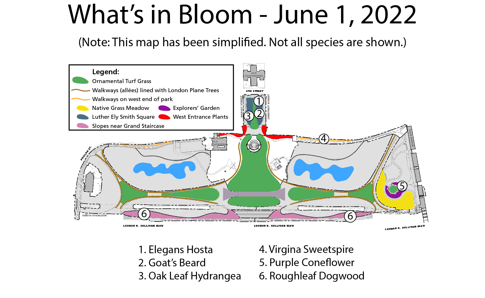 whats in bloom labeled map june 2022 A colorful map showing different planting areas on the arch grounds. Circled numbers on the map show the locations of selected species. A legend is on the bottom.