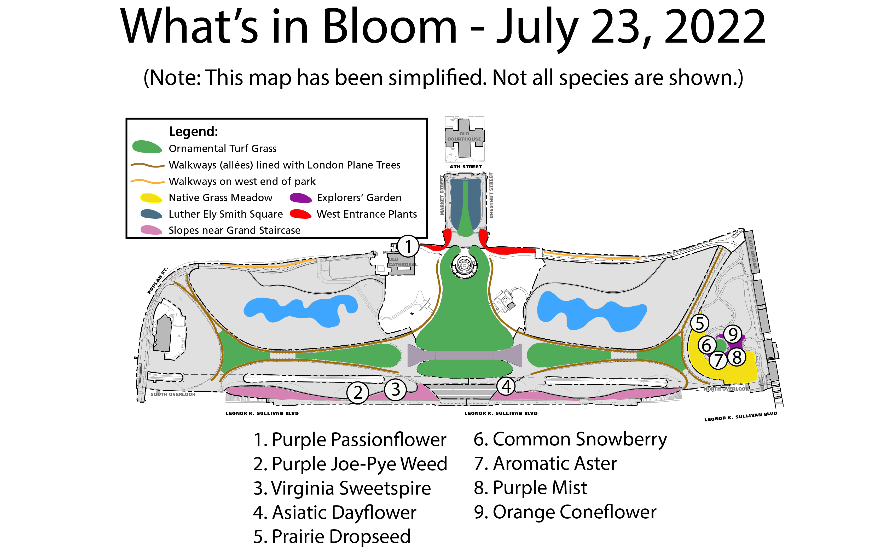 whats in bloom map mid july 2022 A map of the Arch grounds with different colors representing different planting areas. Circled numbers are placed throughout the map, with a legend on the bottom showing which species each number represents.