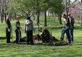 Student volunteers Student volunteers