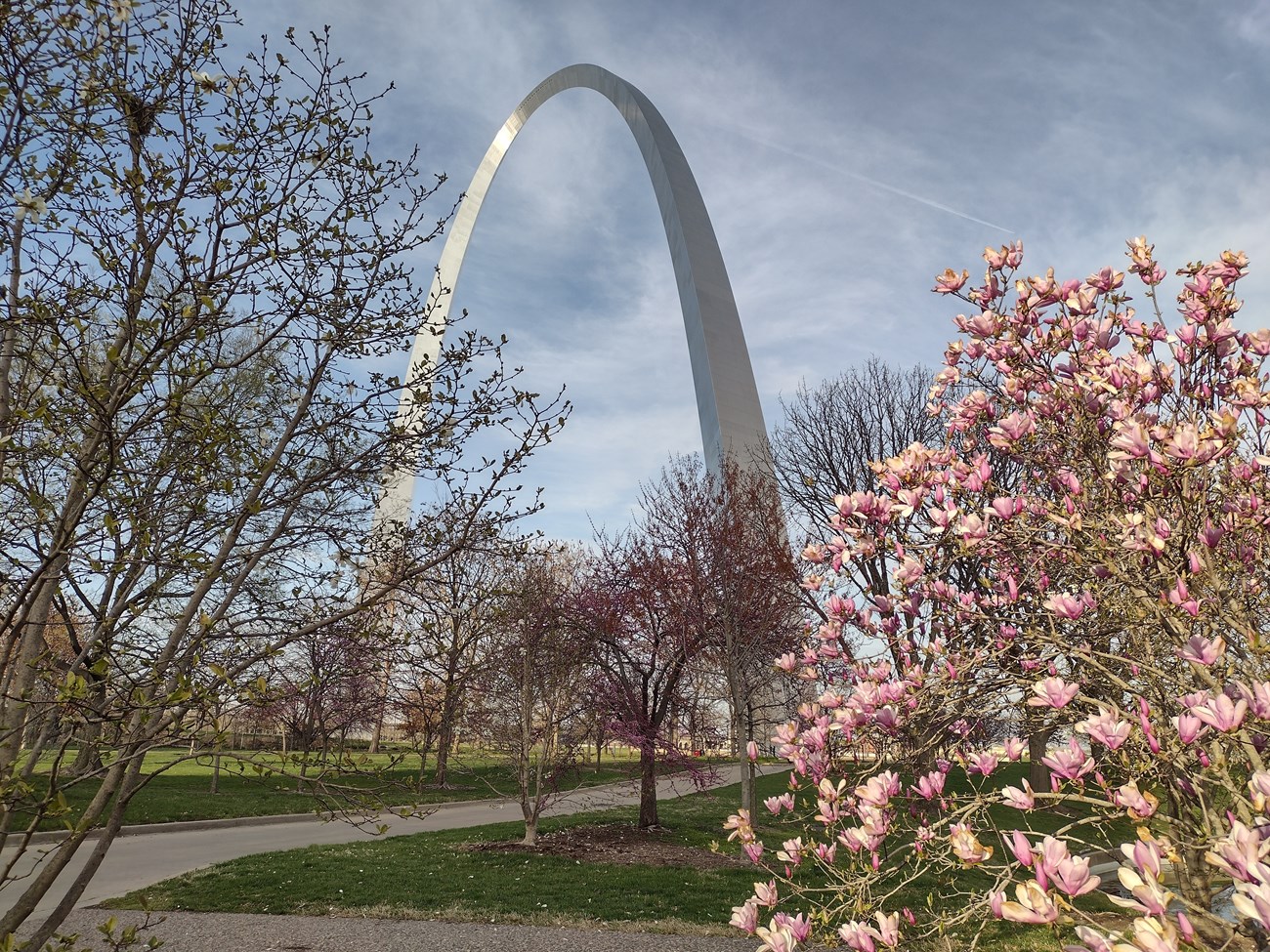 arch with magnolia and redbud trees