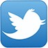 Twitter logo white bird on blue background