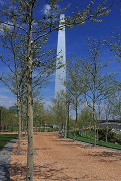 Tree lined walkway south end of Gateway Arch grounds. The Gateway Arch is in the background.