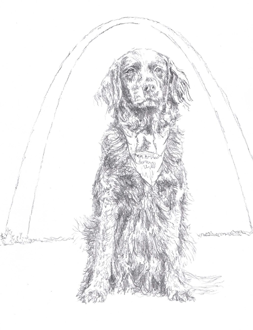 Dog with bandana around neck sitting under the Arch