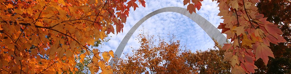 Top of Arch as seen through red and oraange tree during the Fall