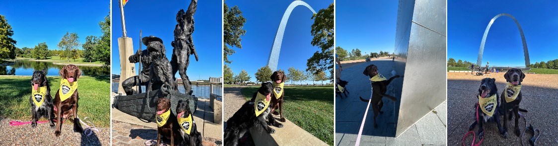 Five pictures of two dogs in various locations within Gateway Arch National Park.