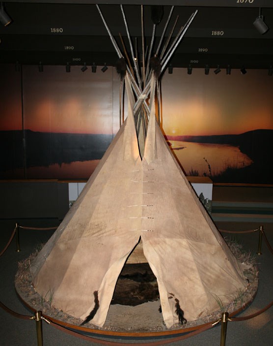 buffalo hide tipi